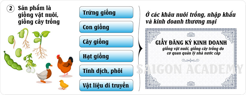 Con giống